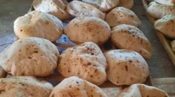 قيمة سلع نقاط الخبز وكيف تؤثر على دعم المواطنين الاقتصادي 1